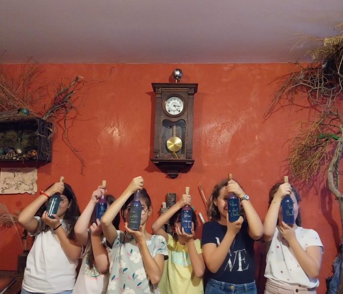 Toute une Histoire - L'Imaginarium - Cours de potions pour anniversaire