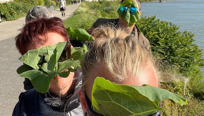 Toute une Histoire - Animation pour anniversaire adultes